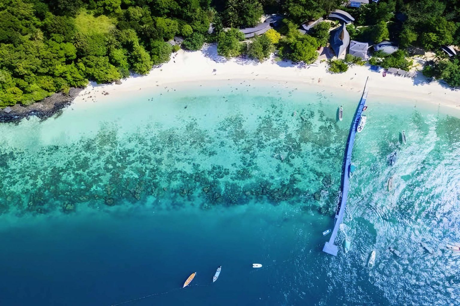 Morning Cruise to Coral Island