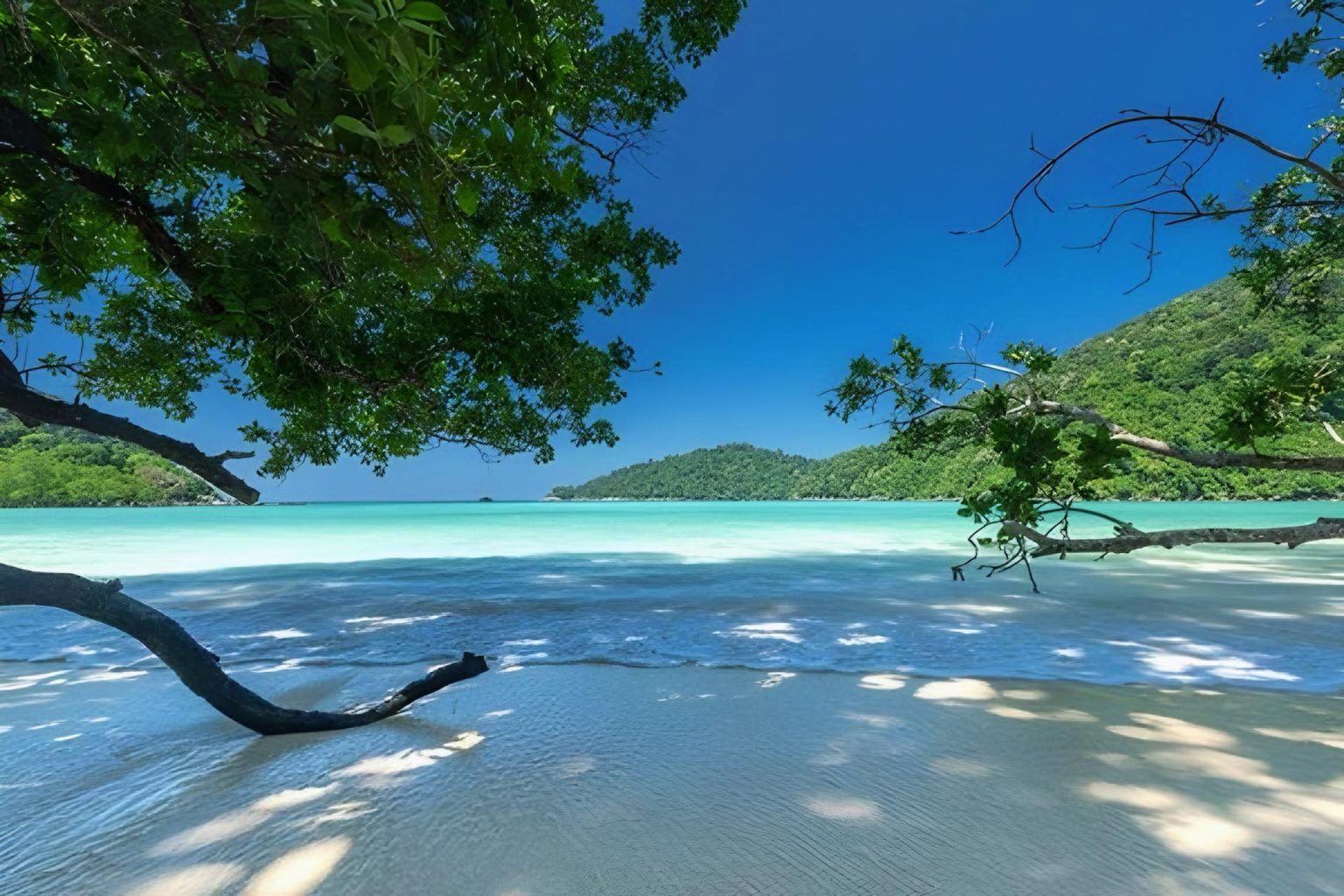 Morning Cruise to Coral Island