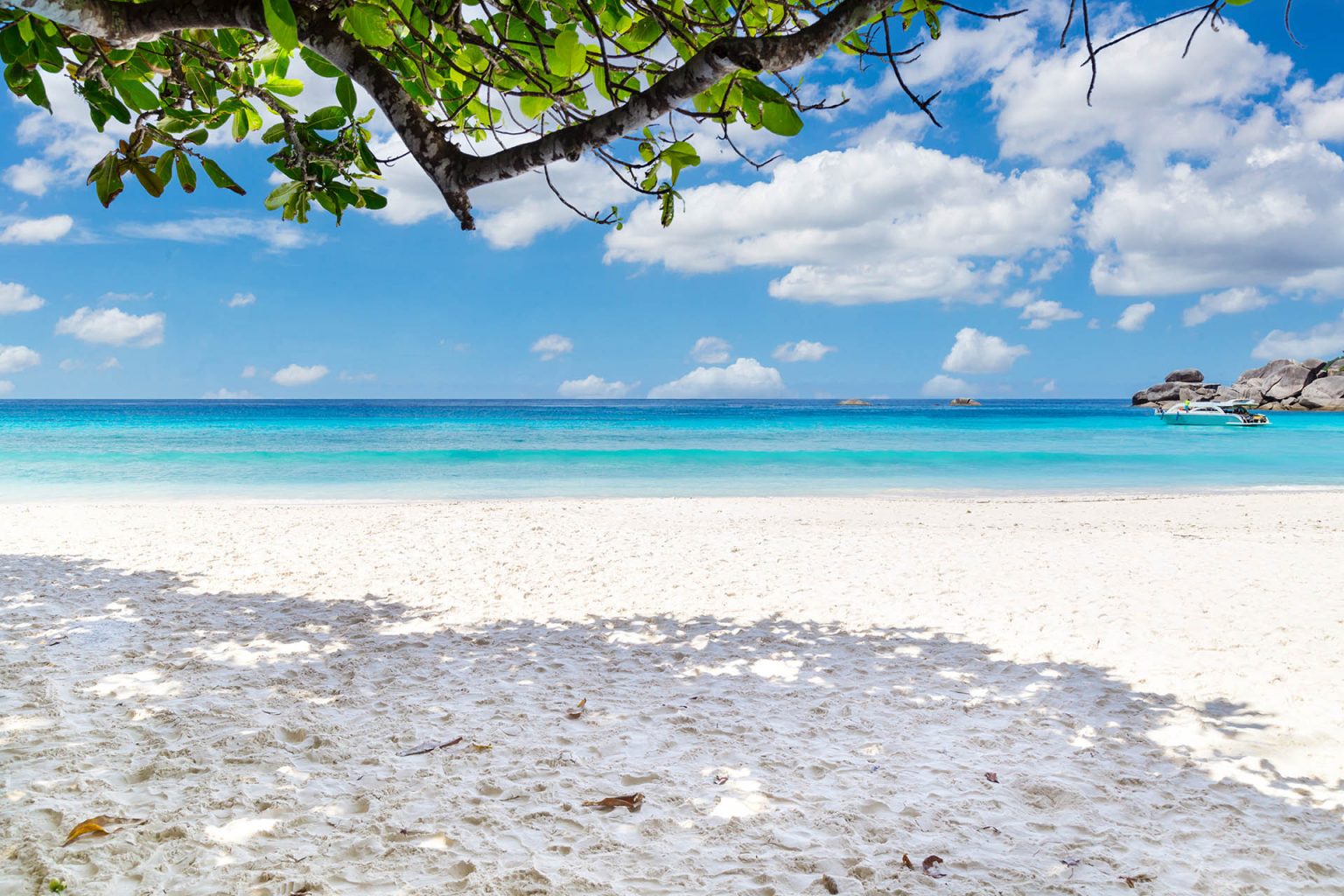 Exclusive catamaran tour of the Similan Islands