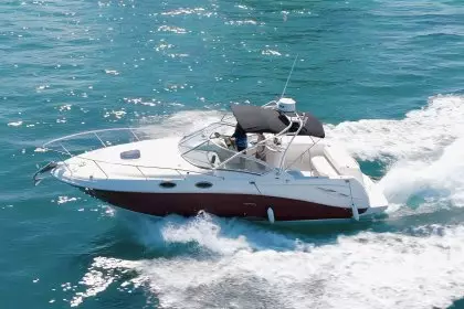 SEA RAY 27