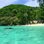 Morning Cruise to Coral Island
