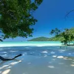 Morning Cruise to Coral Island