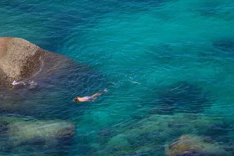 PHI PHI