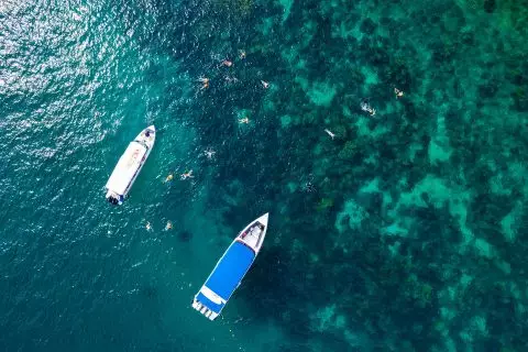 PHI PHI