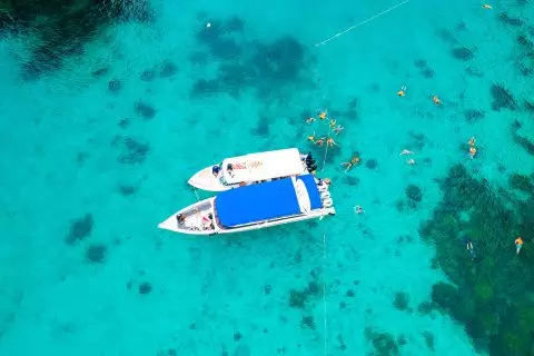 PHI PHI