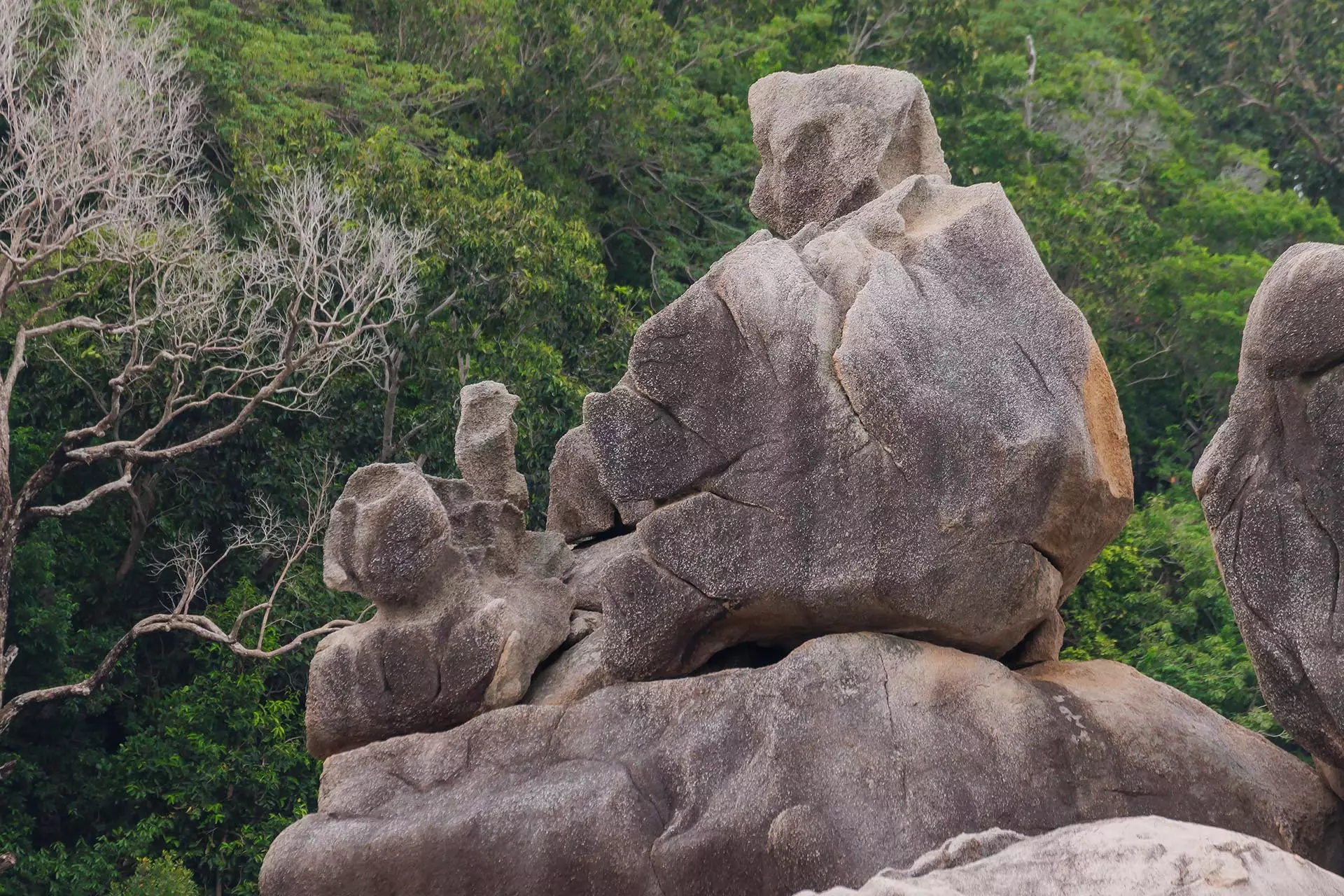 Excursions to the Similan Islands