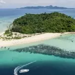 PHI PHI – BAMBOO
