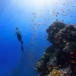 Water Paradise on Racha Yai Island