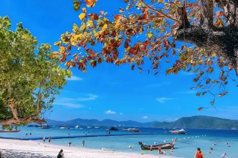 Morning Cruise to Coral Island