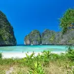 PHI PHI