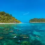 PHI PHI – BAMBOO