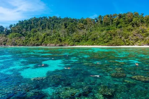 PHI PHI — JAMES BOND