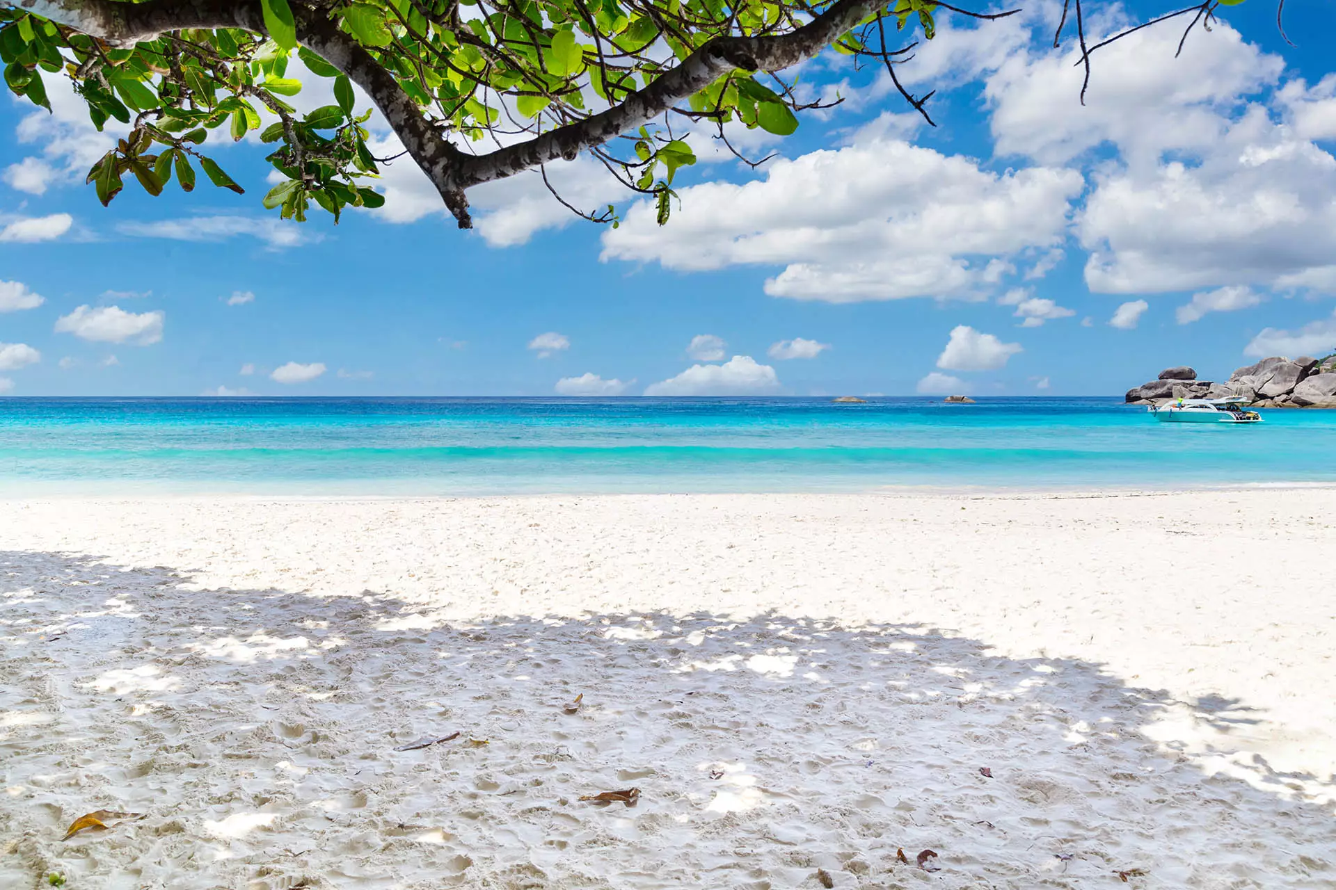 Excursions to the Similan Islands