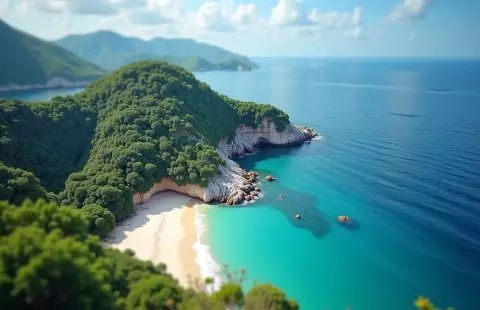 Coral Island